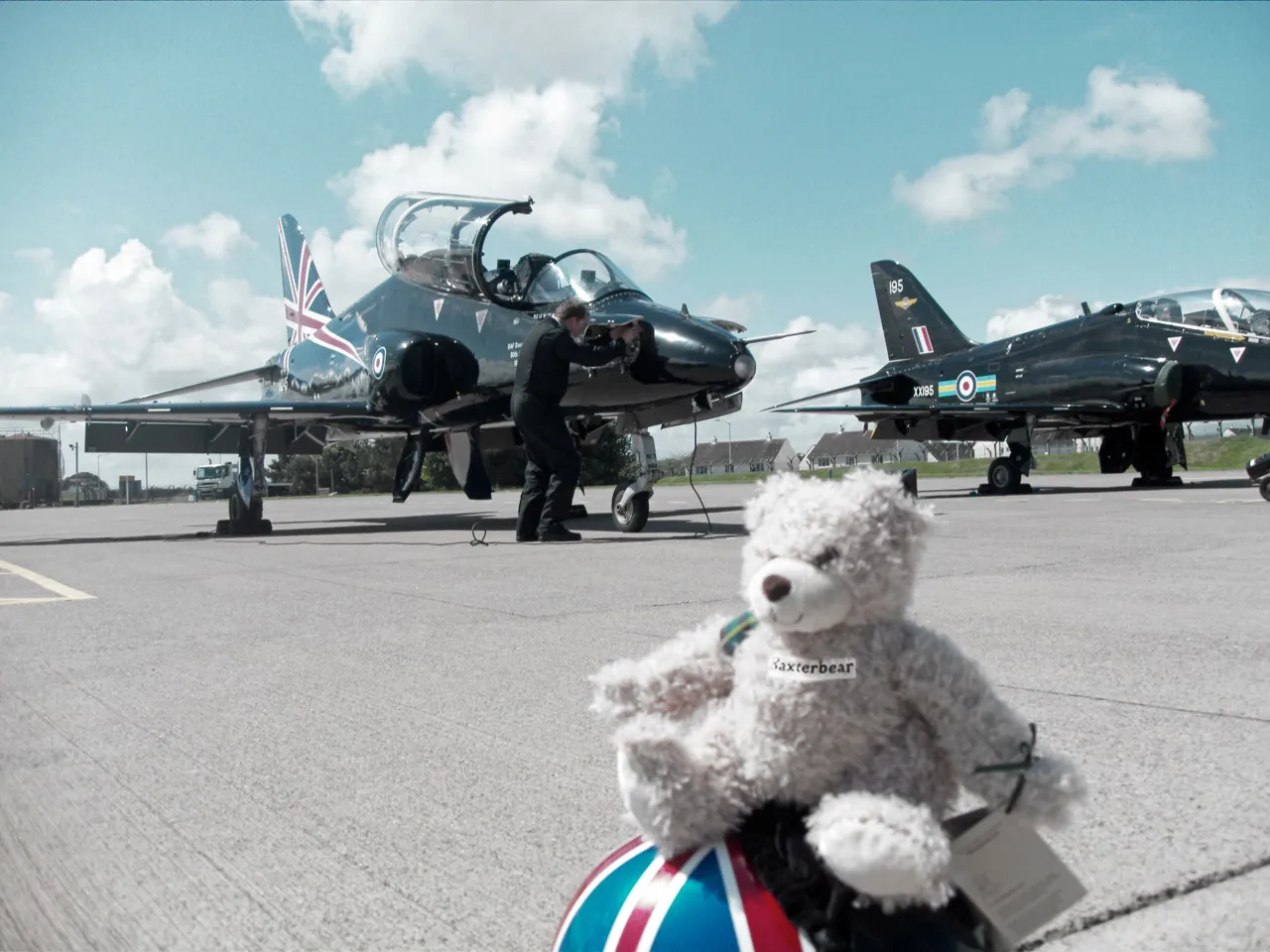 BB with Display Hawks_2
