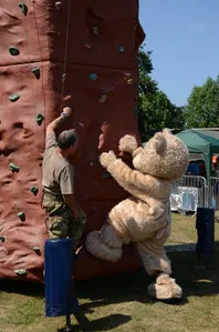 8x12 Climbing Bear