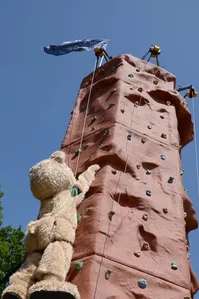 8x12 Climbing Wall 11