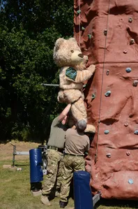 8x12 Climbing Wall 6