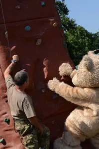 8x12 Climbing