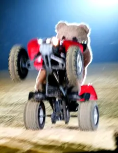 Baxterbear wheelie