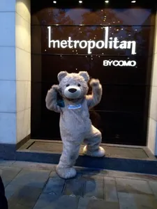 bbear 222