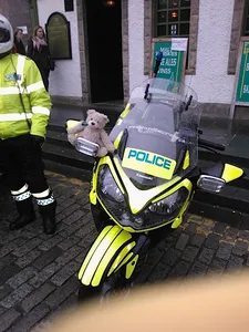 You never know when you need a Baxterbear