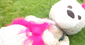 Baxterbear Rides Off on Poppy Bike