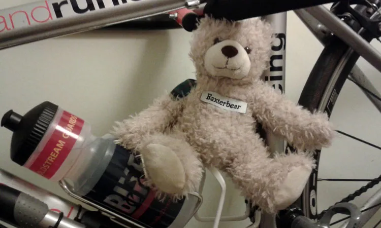 Baxterbear's featured on lots of the bikes.