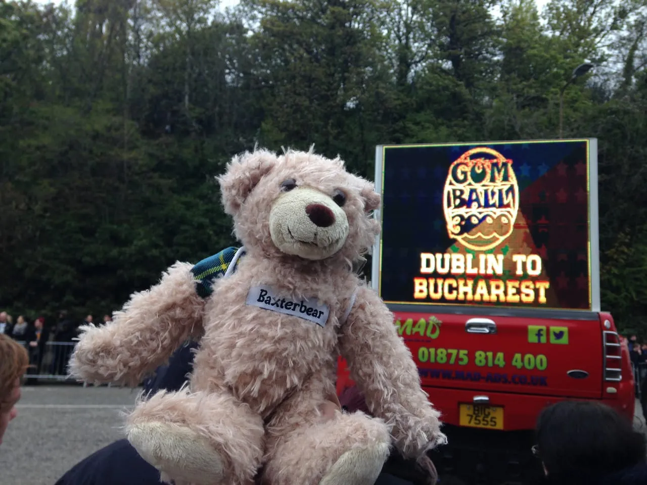 Baxterbear at the Gumball 3000