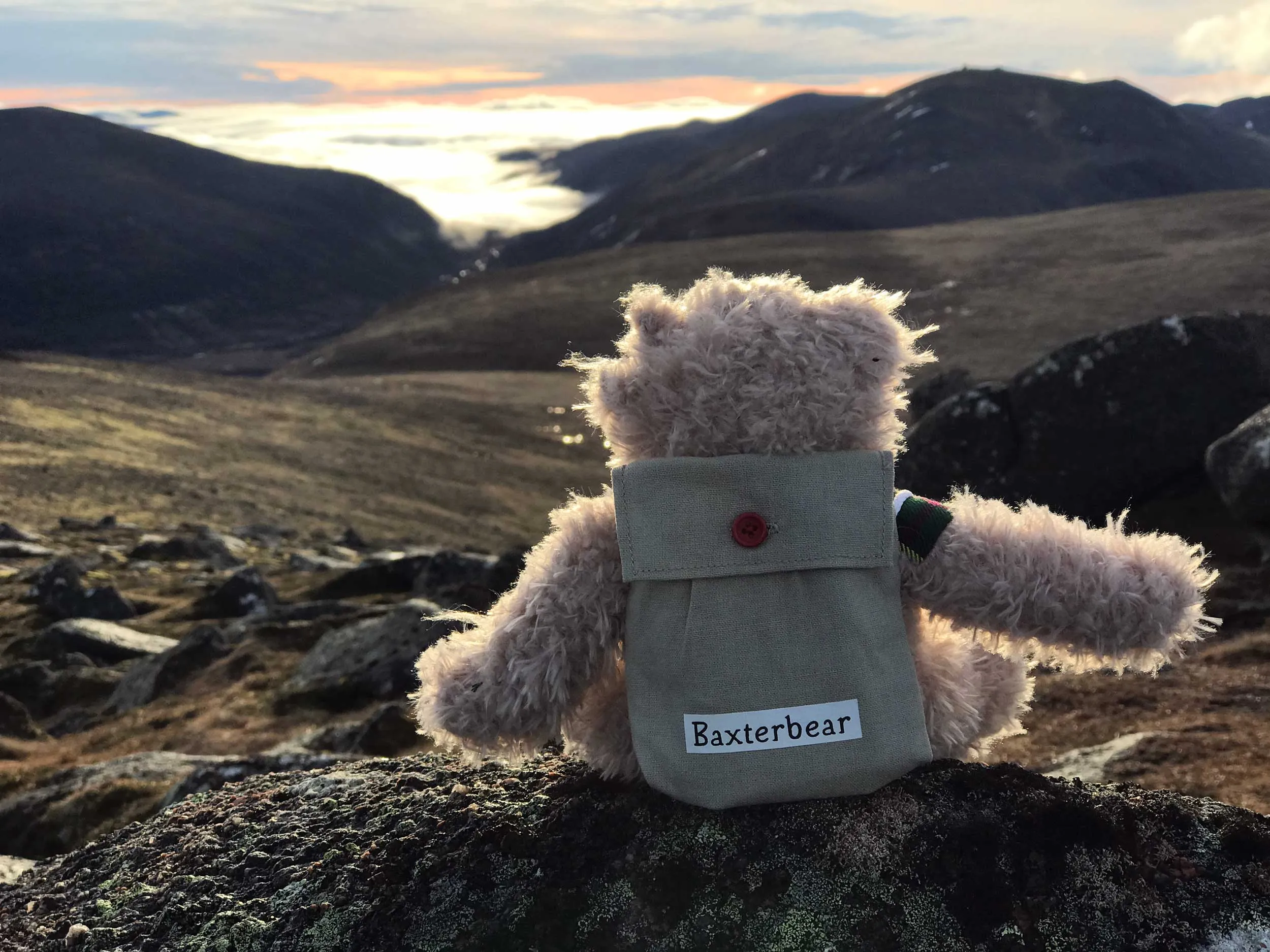 Friends of Baxterbear